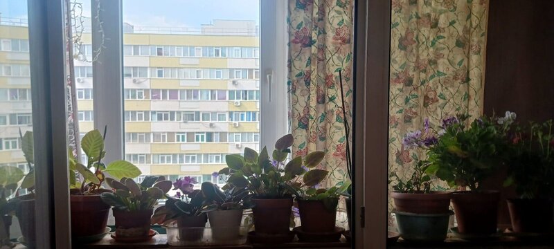 Morarilor, Pantelimon vanzare ap. 3 cam dec