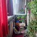 Morarilor, Pantelimon vanzare ap. 3 cam dec